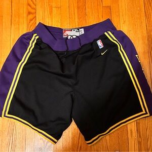 Nike XXL Team Sports Shorts